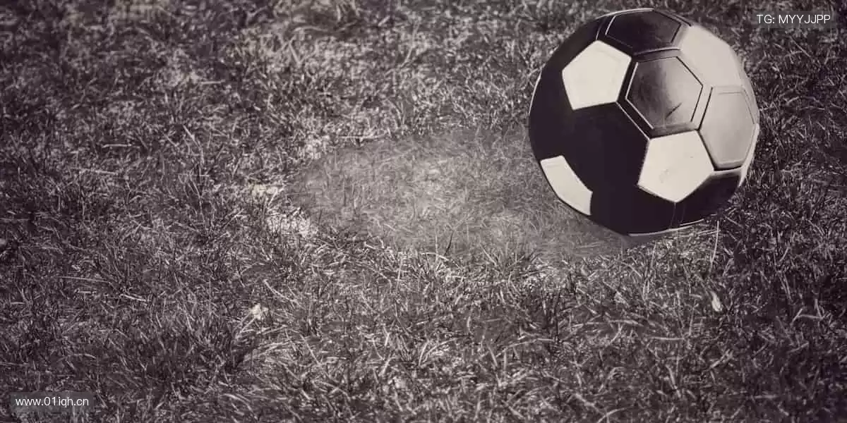 正品保障，收藏热爱！💎